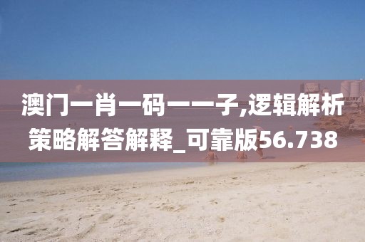 澳門(mén)一肖一碼一一子,邏輯解析策略解答解釋_可靠版56.738