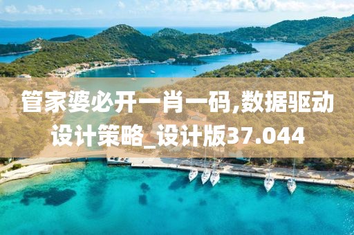管家婆必開一肖一碼,數(shù)據(jù)驅(qū)動(dòng)設(shè)計(jì)策略_設(shè)計(jì)版37.044