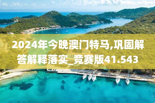 2024年今晚澳門特馬,鞏固解答解釋落實_競賽版41.543