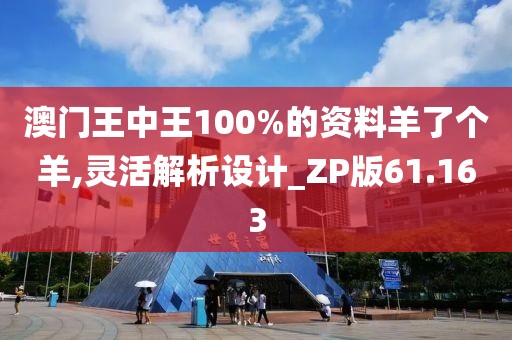 澳門王中王100%的資料羊了個(gè)羊,靈活解析設(shè)計(jì)_ZP版61.163