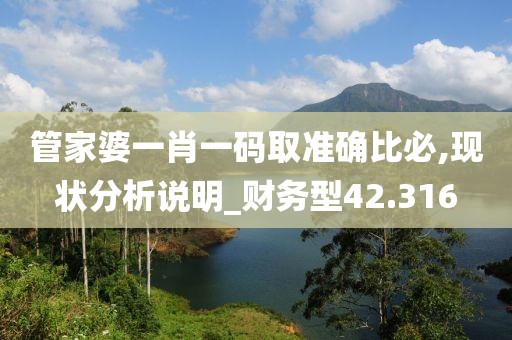 管家婆一肖一碼取準(zhǔn)確比必,現(xiàn)狀分析說(shuō)明_財(cái)務(wù)型42.316