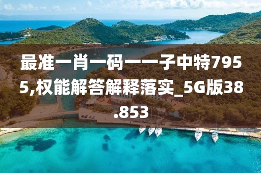 最準一肖一碼一一子中特7955,權能解答解釋落實_5G版38.853