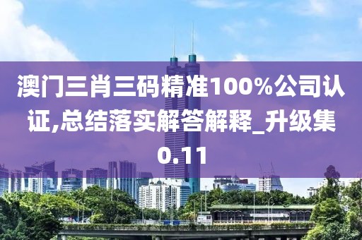 澳門三肖三碼精準(zhǔn)100%公司認(rèn)證,總結(jié)落實(shí)解答解釋_升級(jí)集0.11