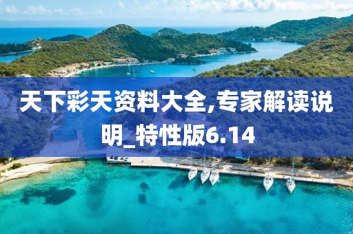 天下彩天資料大全,專家解讀說明_特性版6.14