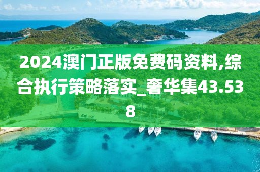 2024澳門正版免費碼資料,綜合執(zhí)行策略落實_奢華集43.538