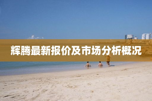 輝騰最新報價及市場分析概況