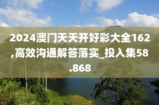 2024澳門天天開好彩大全162,高效溝通解答落實_投入集58.868