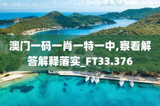 澳門一碼一肖一特一中,察看解答解釋落實_FT33.376