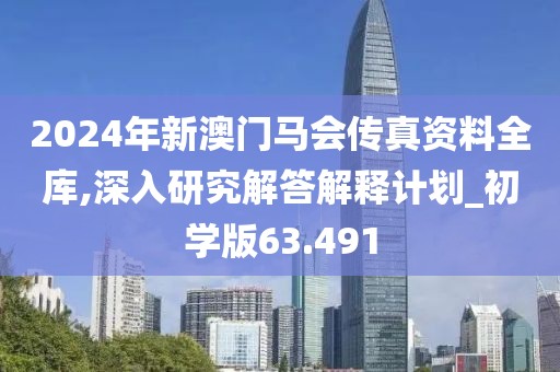 2024年新澳門馬會傳真資料全庫,深入研究解答解釋計劃_初學版63.491