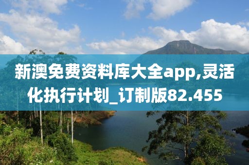 新澳免費(fèi)資料庫(kù)大全app,靈活化執(zhí)行計(jì)劃_訂制版82.455