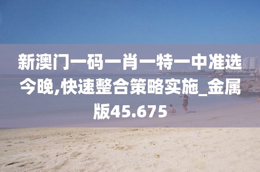 新澳門一碼一肖一特一中準(zhǔn)選今晚,快速整合策略實施_金屬版45.675