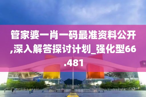 管家婆一肖一碼最準資料公開,深入解答探討計劃_強化型66.481