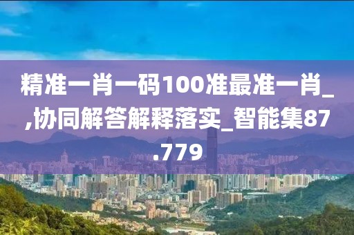 精準一肖一碼100準最準一肖_,協(xié)同解答解釋落實_智能集87.779