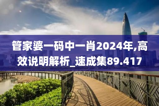 管家婆一碼中一肖2024年,高效說(shuō)明解析_速成集89.417