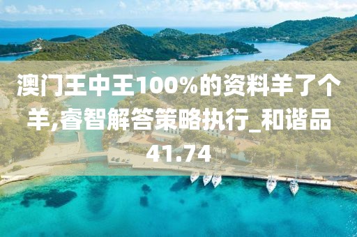 澳門王中王100%的資料羊了個(gè)羊,睿智解答策略執(zhí)行_和諧品41.74