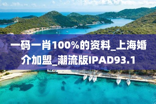 一碼一肖100%的資料_上?；榻榧用薩潮流版IPAD93.1