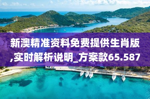 新澳精準資料免費提供生肖版,實時解析說明_方案款65.587