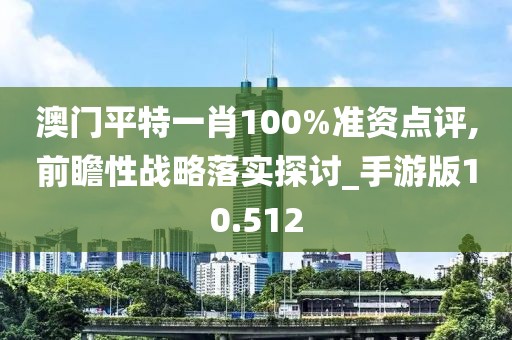 澳門平特一肖100%準(zhǔn)資點(diǎn)評,前瞻性戰(zhàn)略落實(shí)探討_手游版10.512