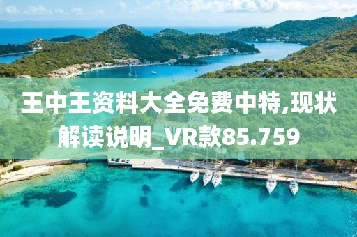 王中王資料大全免費(fèi)中特,現(xiàn)狀解讀說明_VR款85.759