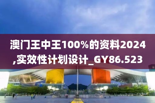 澳門王中王100%的資料2024,實效性計劃設計_GY86.523