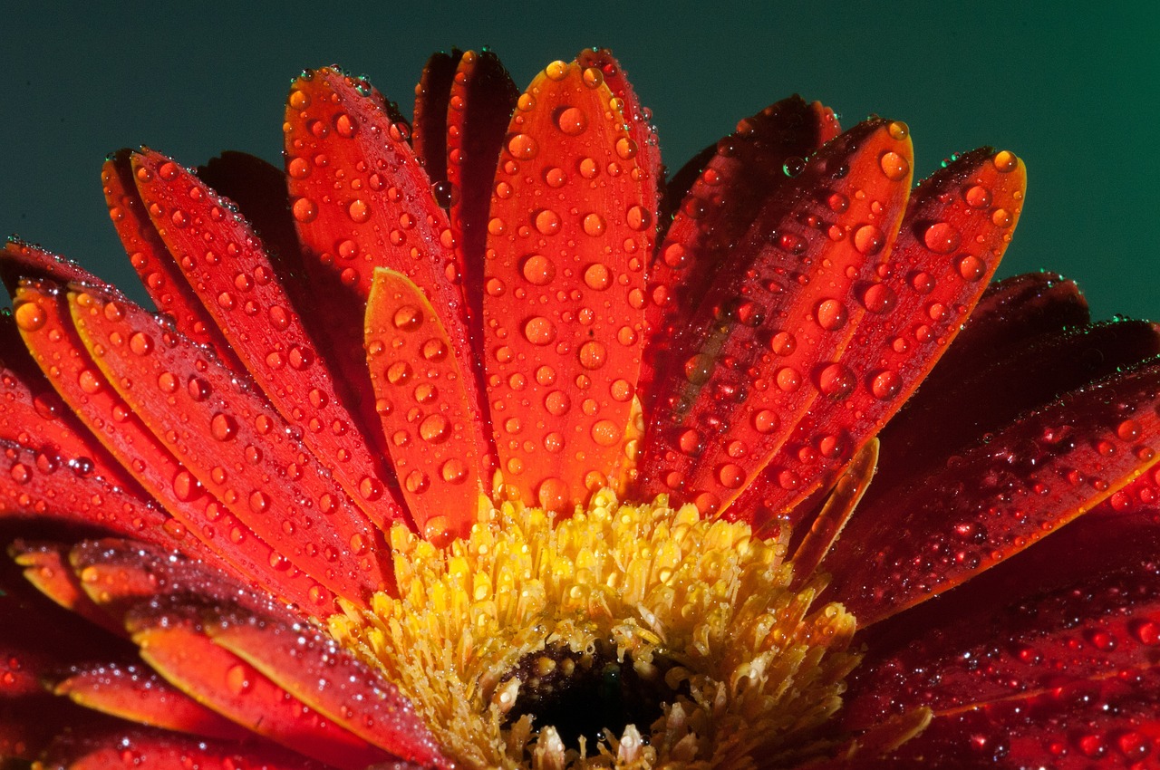 婚嫁籌辦 第247頁