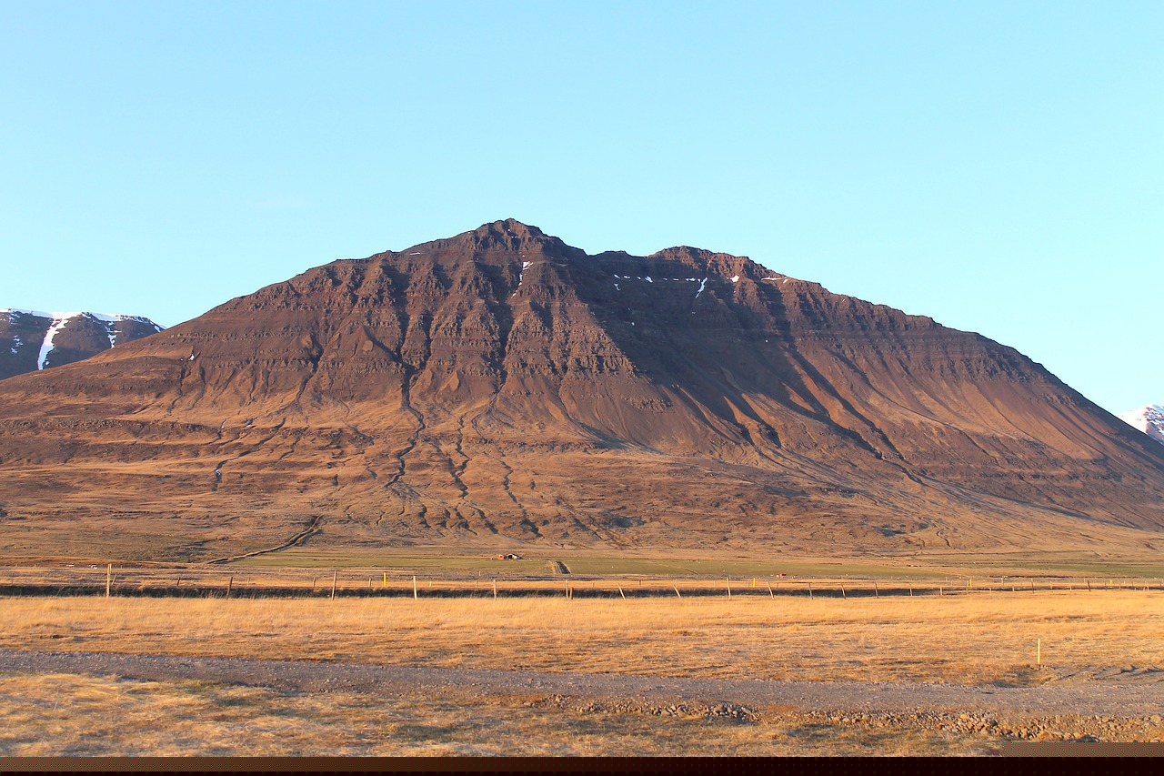 李貞賢最新動(dòng)態(tài)與成就，聚焦現(xiàn)在，展望未來(lái)