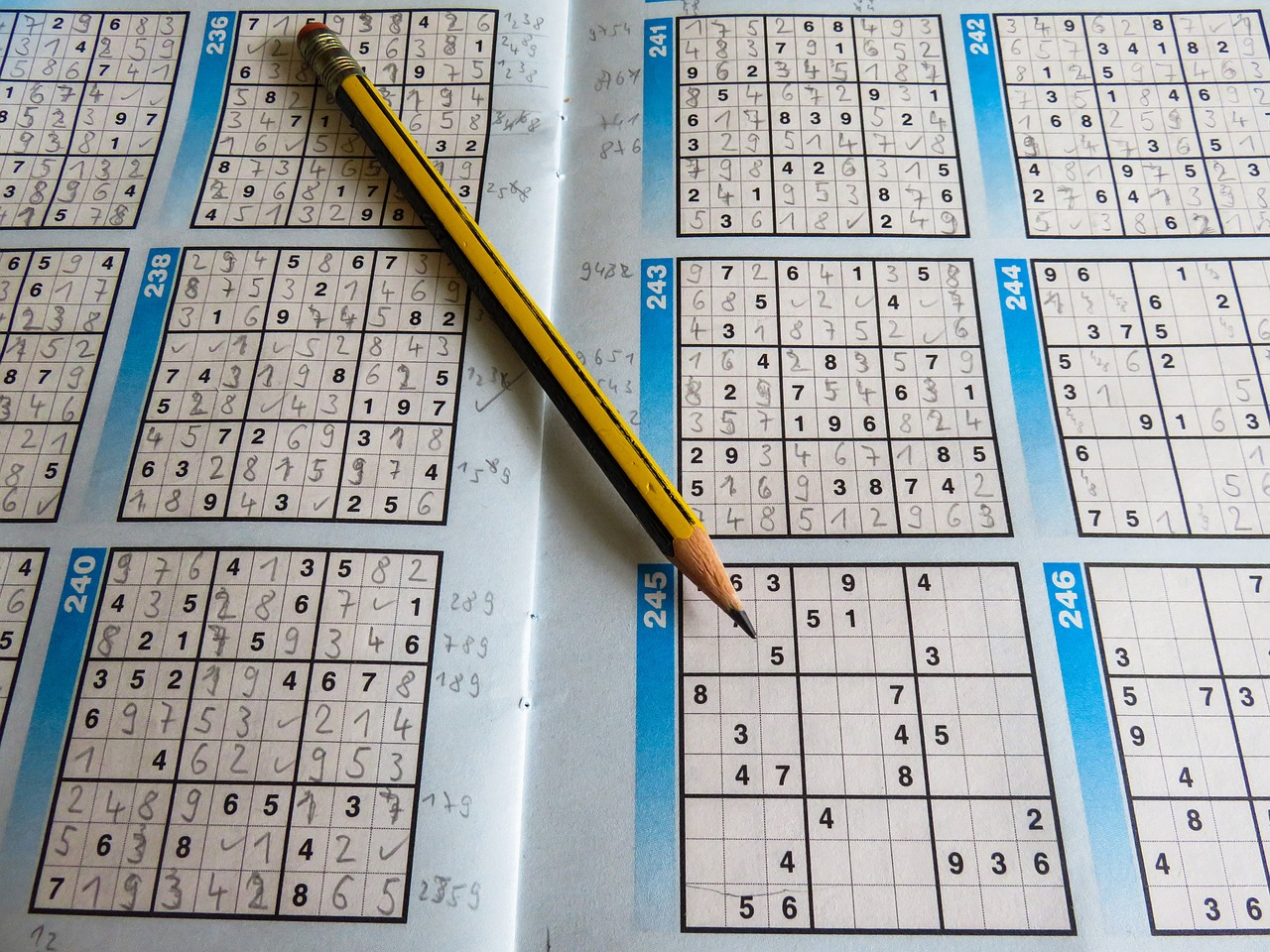 2024澳門天天開彩大全,快速問題設(shè)計方案_75.382
