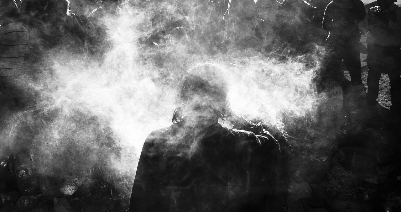 若春和景明，自然與人性的和諧共生最新章節(jié)探索