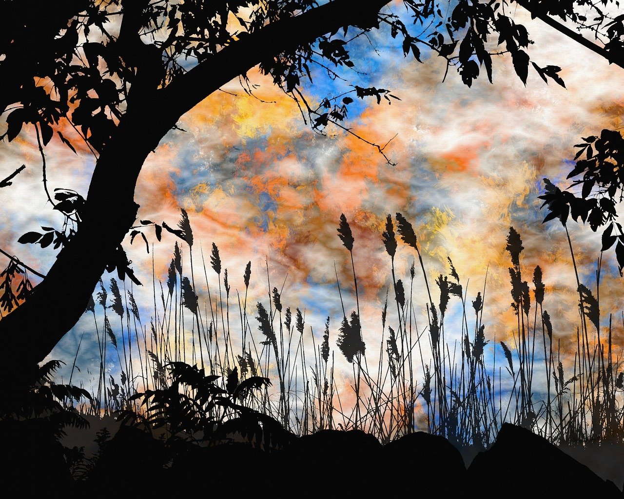 荒最新御魂深度解析與探索指南