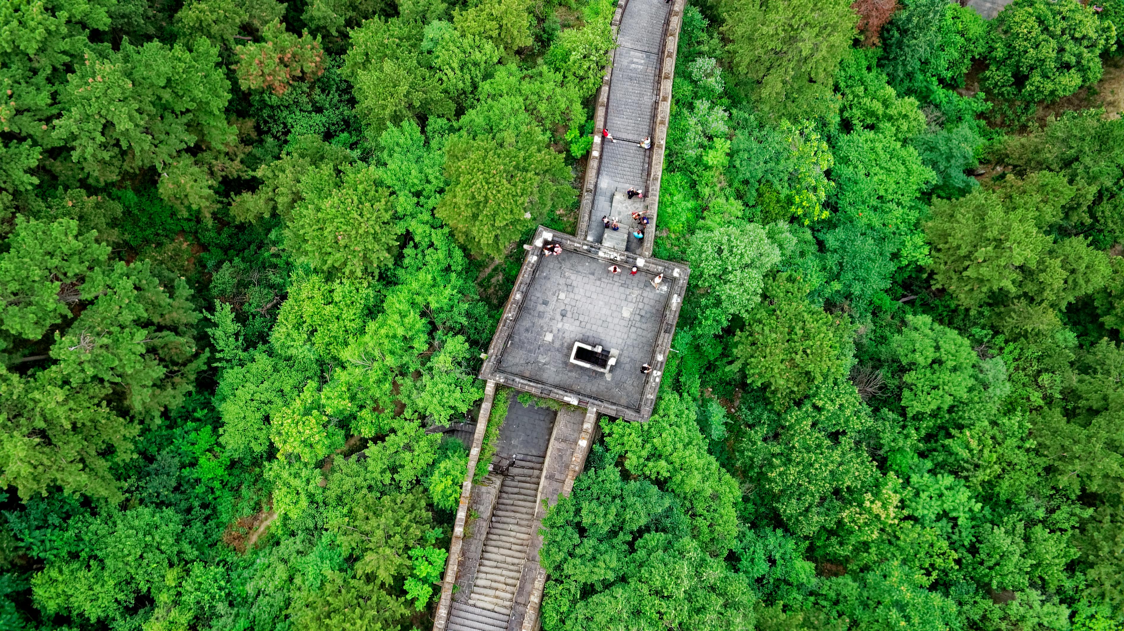 李白最新動態(tài)揭秘，文化傳承與現(xiàn)代影響力不容小覷