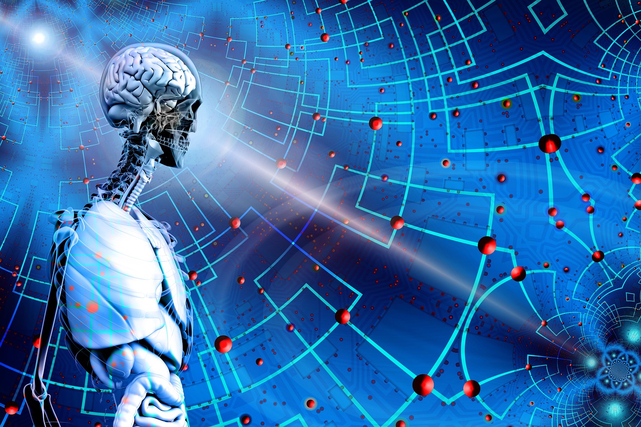 澳門資料大全免費資料,數(shù)據(jù)研究解答解釋路徑_恢復(fù)版65.151