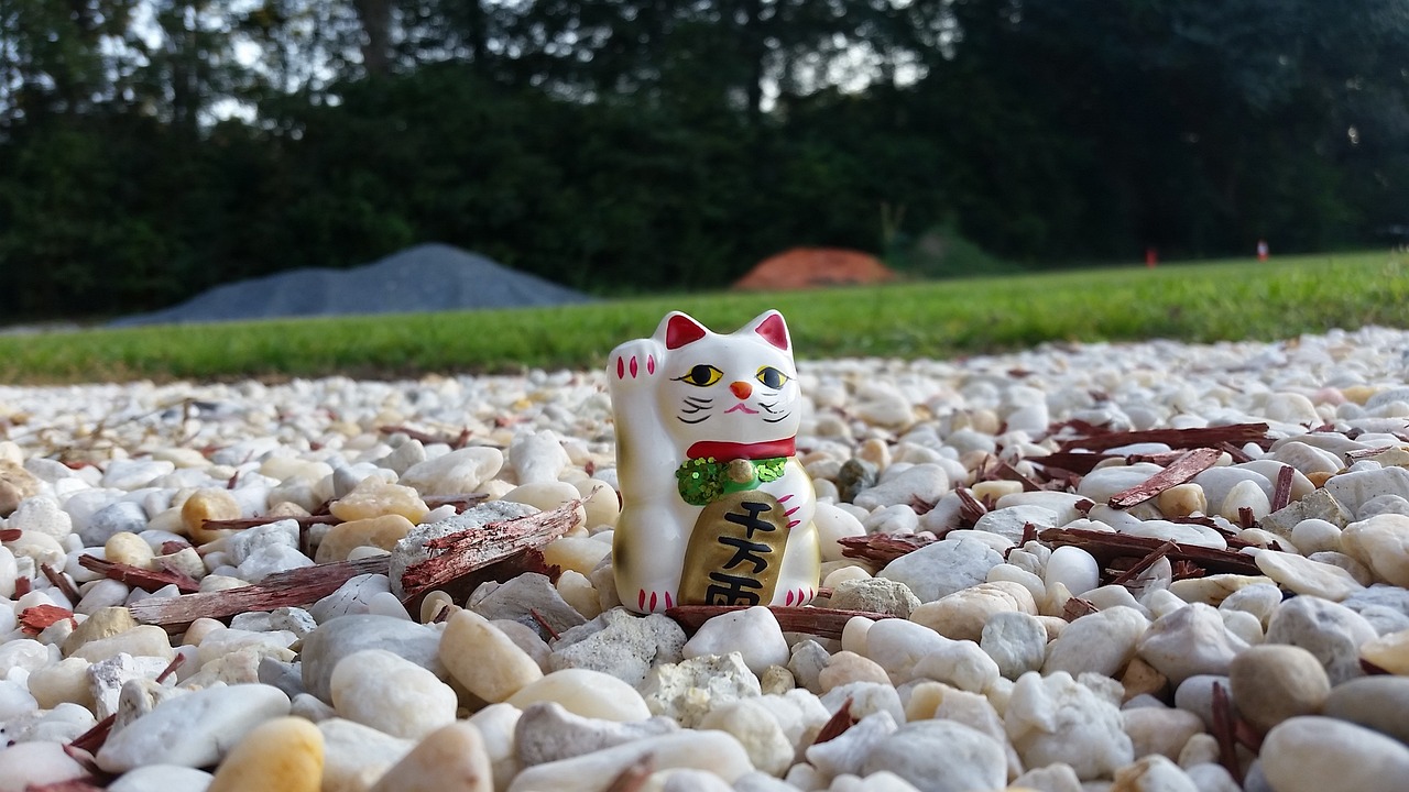 辛集地區(qū)最新招聘信息概覽（XXXX年），全面解析辛集最新招聘動態(tài)