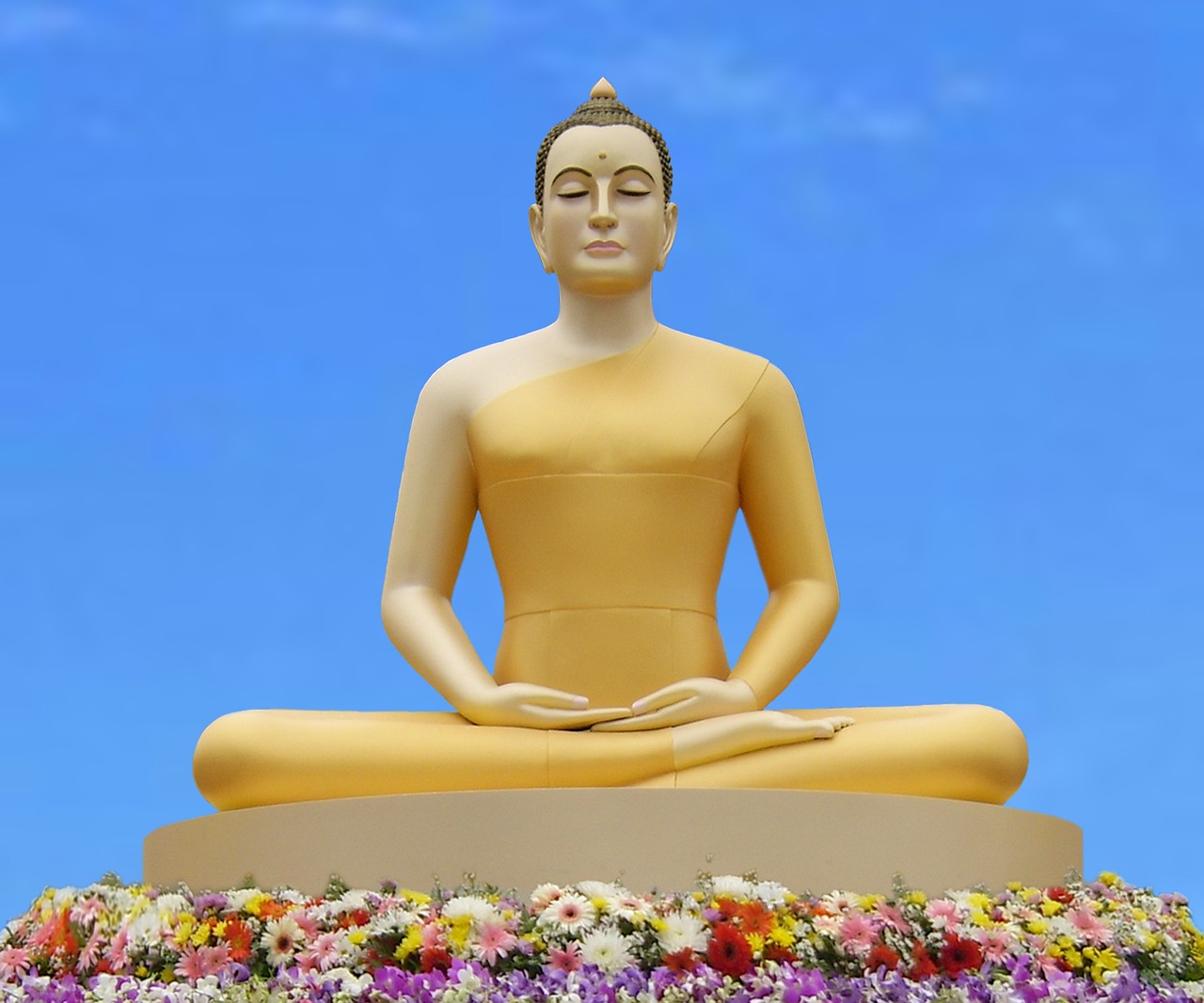 最新緊身褲在廣場舞中的風(fēng)靡與影響