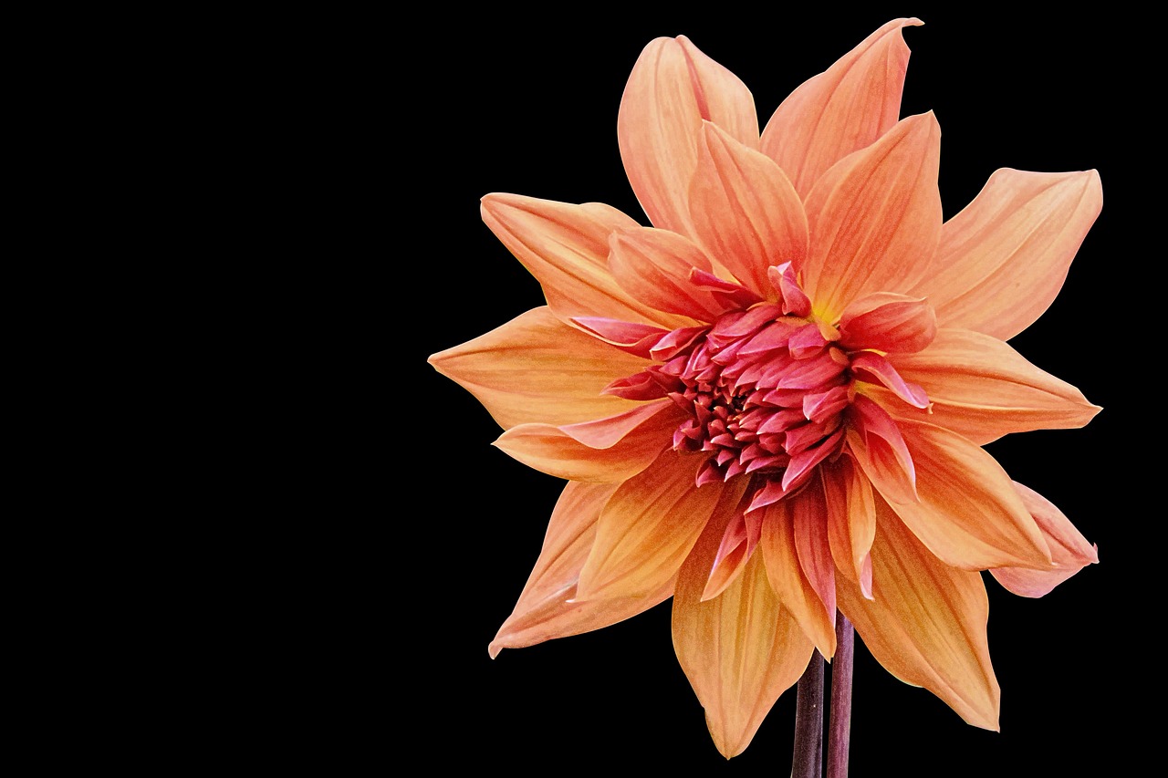 曲靖天欣苑最新動態(tài)及未來繁榮發(fā)展展望