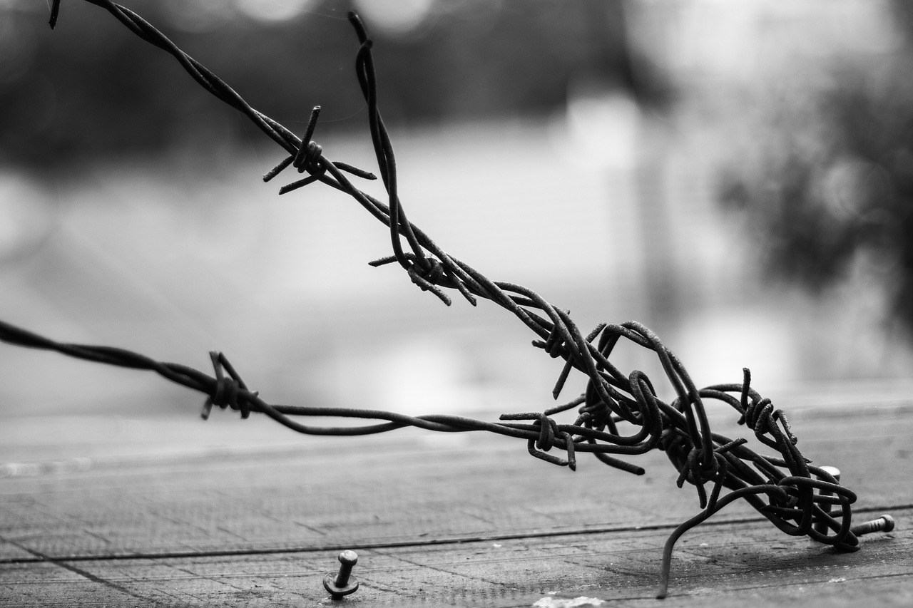 不滅劍君最新章節(jié)深度解析與概覽