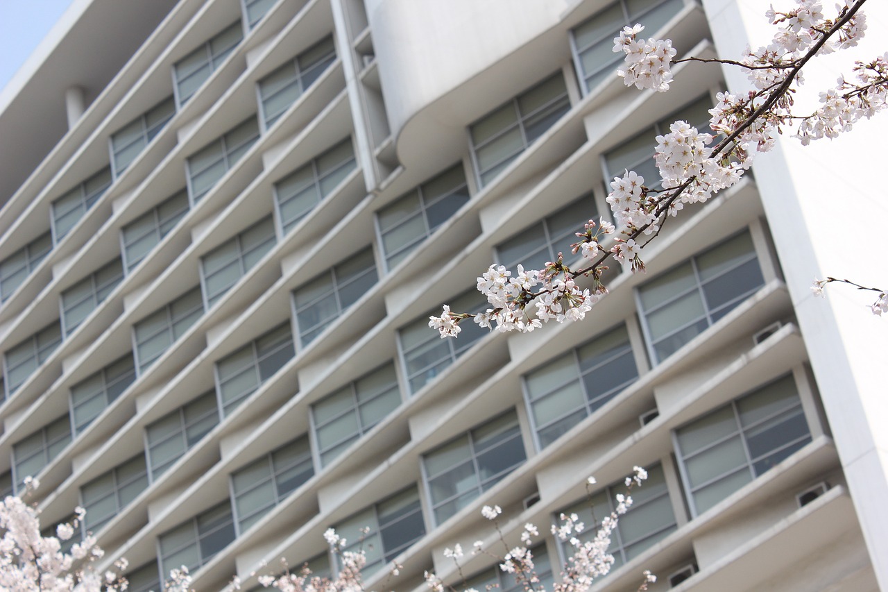 深圳手袋板房開料技術(shù)與創(chuàng)新最新進(jìn)展