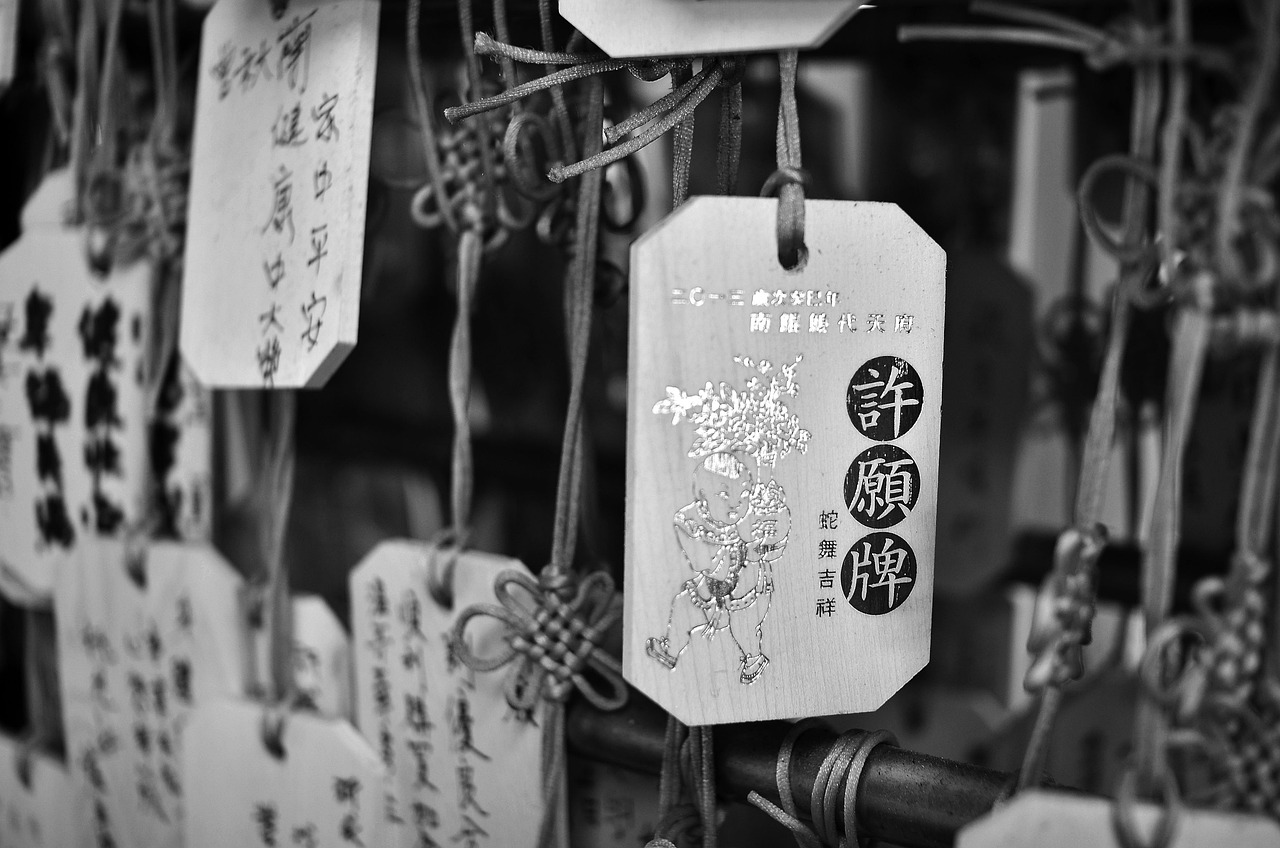 絕世醫(yī)痞，醫(yī)術(shù)與痞氣的傳奇交融