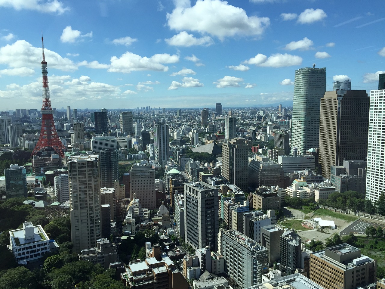山東省最新雞蛋行情分析與概覽